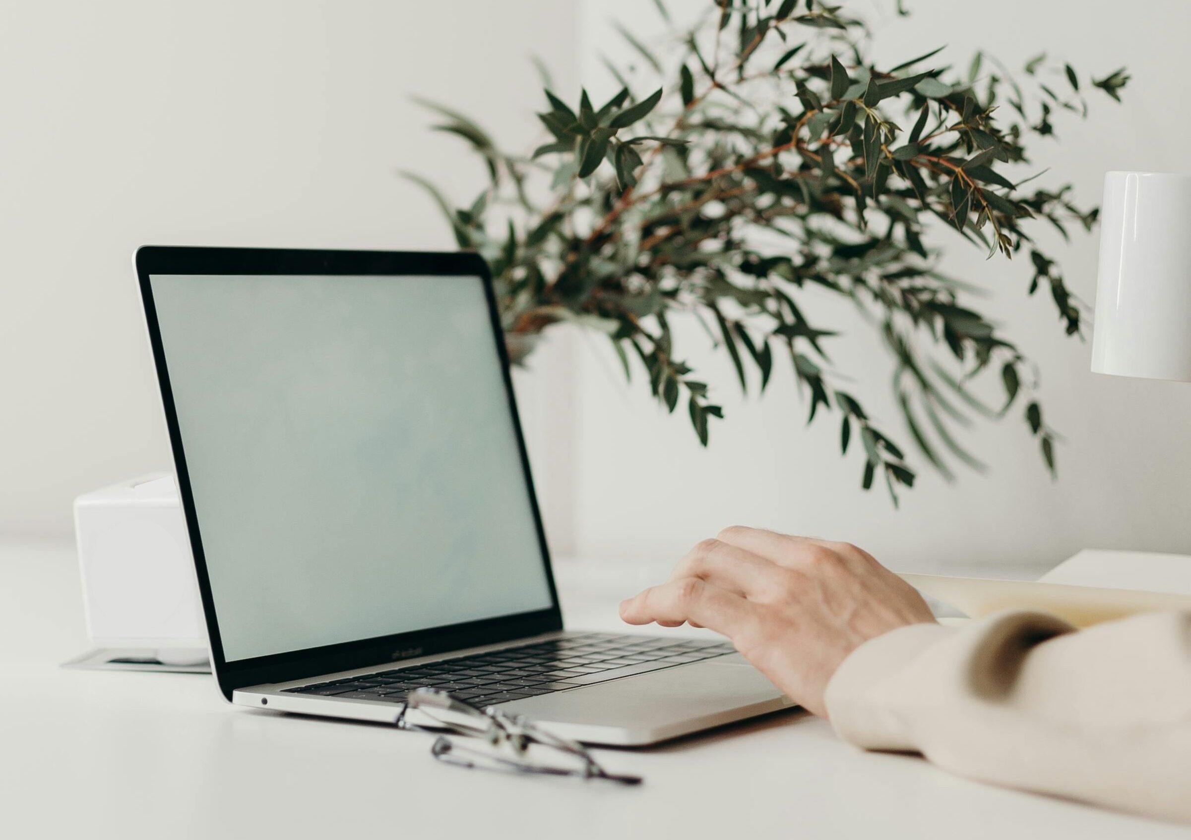 pexels-cottonbro-40658902